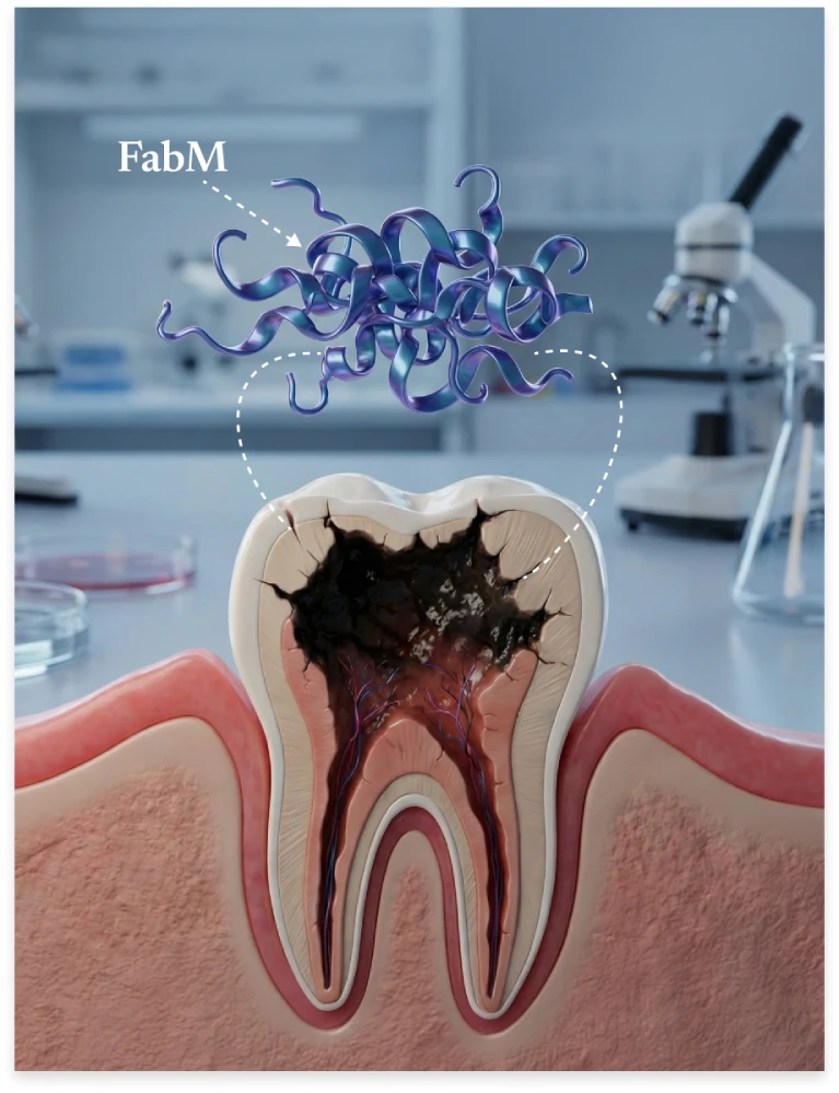 DentaBiome illustration of the FabM acid-lock mechanism